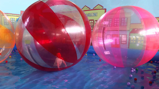 중국 성인/물 롤 볼을 위한 큰 분홍색 물 수영장 팽창식 물 걷는 공 협력 업체