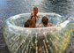 2-3의 사람 팽창식 야자열매 공은, 팽창식 수영장 물 로비를 가지고 놀 협력 업체